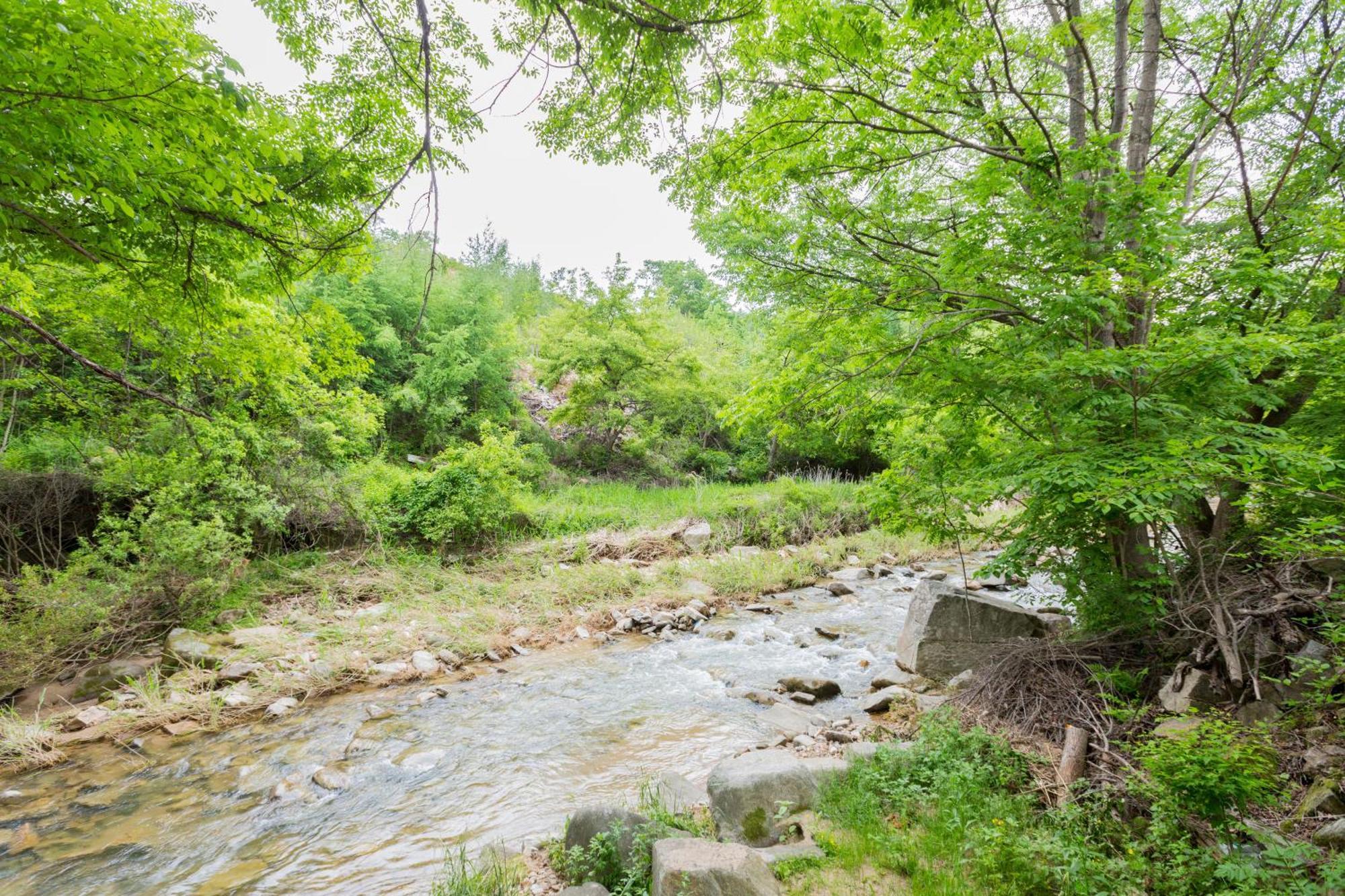 Bongpyeong Moolsori Pension Pyeongchang Extérieur photo